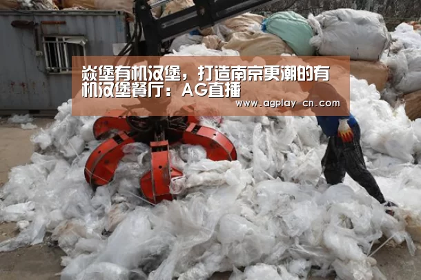 焱堡有机汉堡,打造南京更潮的有机汉堡餐厅:AG直播(图1) AG娱乐