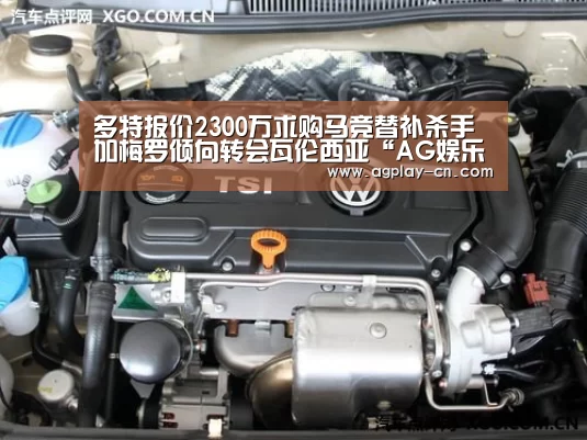 多特报价2300万求购马竞替补杀手 加梅罗倾向转会瓦伦西亚“AG娱乐”(图1) AG娱乐